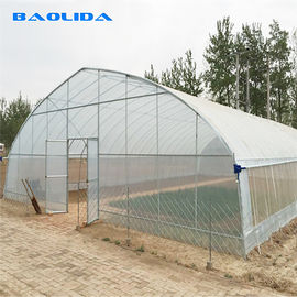 Alte verdure del tunnel che piantano la serra di verdure del film plastico del tunnel della singola portata