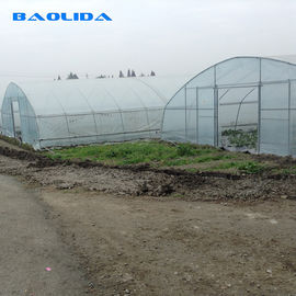 Alte verdure del tunnel che piantano la serra di verdure del film plastico del tunnel della singola portata