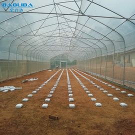 Fruttifica la immersione calda di polietilene di crescita della serra agricola della pellicola galvanizzata
