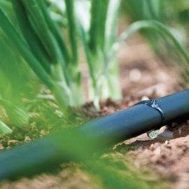 Tubo flessibile di plastica del gocciolamento di colore di Fed Greenhouse Watering System Black di gravità del giardino
