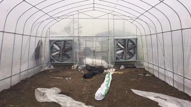 La serra della pellicola di polietilene della pianta delle verdure con il sistema di raffreddamento facile installa