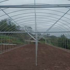 Supporto di verdure del singolo della portata della serra del tunnel del film plastico fiore della copertura