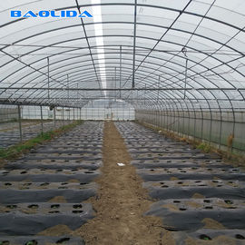 Grande multi serra della portata della struttura d'acciaio per la piantatura di verdure del pomodoro
