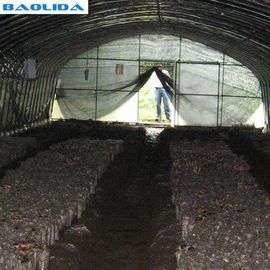 Serra della stagnola del polietilene del tunnel per la trasmissione bassa del fungo in bianco e nero