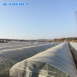 Strato di plastica del tunnel standard classico della serra che riguarda crescita di verdure