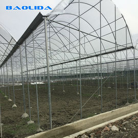 Serra di plastica resistente della forte struttura/serra di plastica del pomodoro