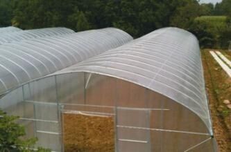 La tenda all'aperto dell'interno della serra piccola/verdura coltiva facile della tenda installata