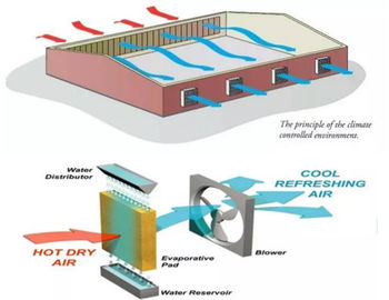 Sistema di raffreddamento della serra di Diy/sistema di raffreddamento ISO9001 cuscinetto della serra