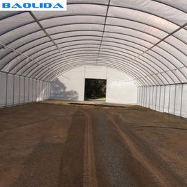 Serra di plastica del tunnel della singola portata/poli agricoltura antivento della serra