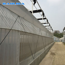 Multi serra della portata del raccolto con l'ombreggiatura degli accessori per tubi d'acciaio galvanizzati sistema