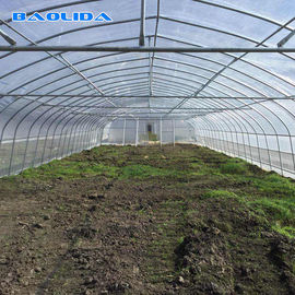 Serra del film plastico del tunnel/controllo di verdure di clima della serra economico