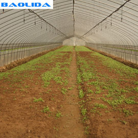 Piante del sistema automatico che crescono coltivanti il sistema di Greenhouse Drip Irrigation del Rigger