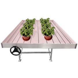 Agricoltura i banchi di rotolamento della serra/Tabelle commerciali mobili della serra