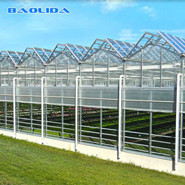 La capacità di vetro ISO9001 della serra 140mm/H di Venlo della multi portata ha certificato