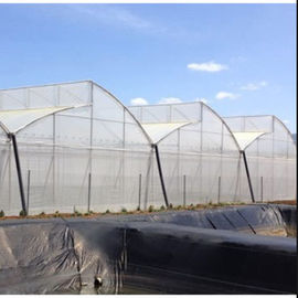 Rivestimento di plastica ISO9001 2008 della chiara della copertura a shed multi serra della portata