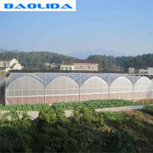 Serra della portata di protezione UV della pellicola di polietilene di controllo automatico multi per la crescita delle piante