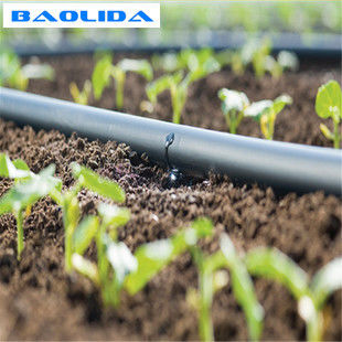 Piante che coltivano l'impianto di irrigazione della serra del PVC dell'irrigazione a goccia 1mm per l'azienda agricola