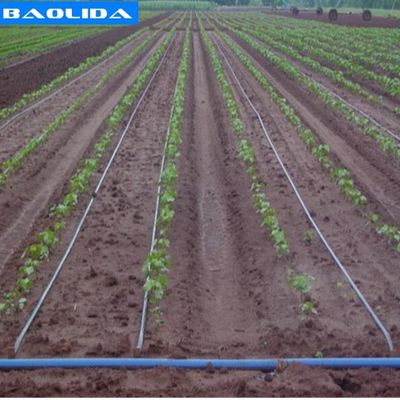 Piante che coltivano l'impianto di irrigazione della serra del PVC dell'irrigazione a goccia 1mm per l'azienda agricola