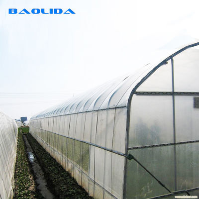 Pomodori agricoli della serra del film del pe da 200 micron che coltivano la serra di plastica del tunnel
