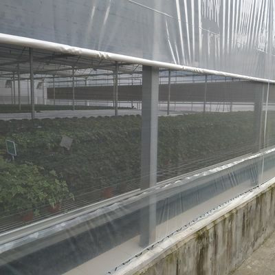 Struttura d'acciaio galvanizzata serra di verdure di rivestimento di plastica del polietilene