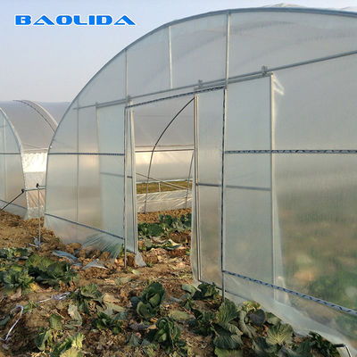 tunnel di plastica di lunghezza di 100m alto che coltiva la serra della pellicola di polietilene per crescita del raccolto