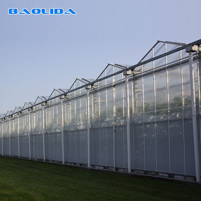 Serra di vetro di Venlo della multi portata di agricoltura per la piantatura del pomodoro