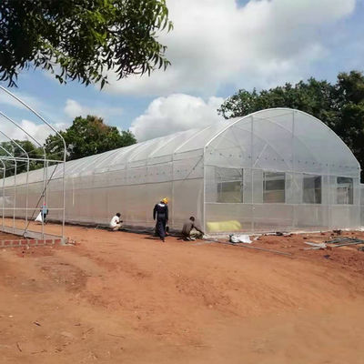 La plastica di verdure del tunnel della singola portata coltiva agricolo della Camera galvanizzata