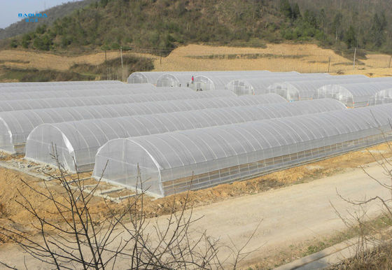 Serra agricola ecologica galvanizzata del film plastico della serra di area della immersione calda