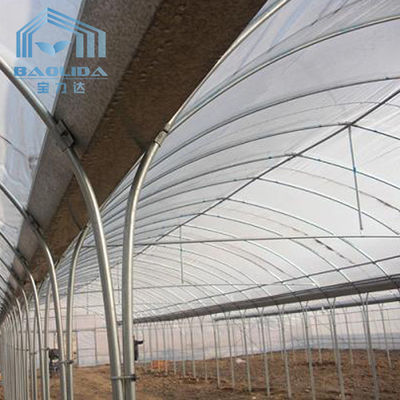 Supporto di verdure del singolo della portata della serra del tunnel del film plastico fiore della copertura