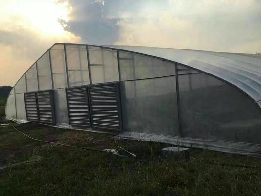 Serra agricola ecologica galvanizzata del film plastico della serra di area della immersione calda