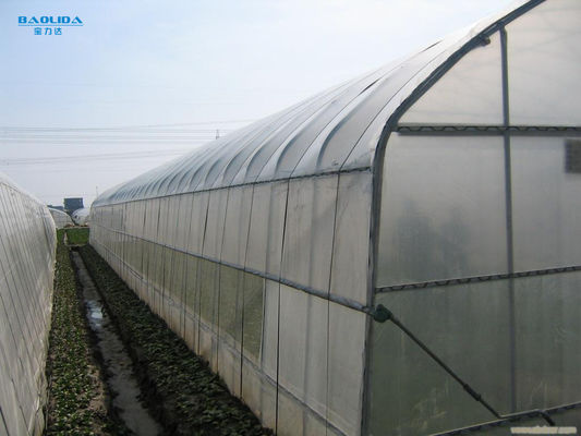 Singola serra della portata del tunnel per l'agricoltura agricola di orticoltura