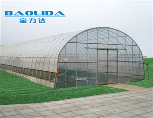 Singolo film plastico della serra della portata del tunnel di verdure agricolo 150 micron