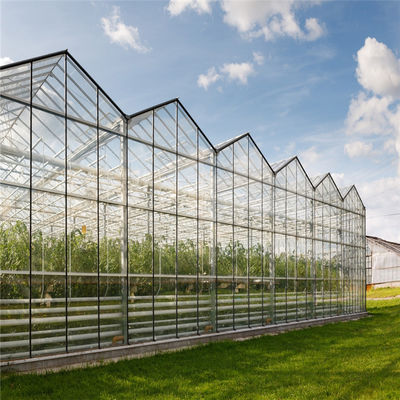 Tipo serra di Venlo della portata della serra di vetro solare del fungo della copertura di inverno del giardino multi