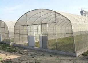 Serra di plastica della pellicola di polietilene delle serre del tunnel della singola portata per l'agricoltura delle verdure