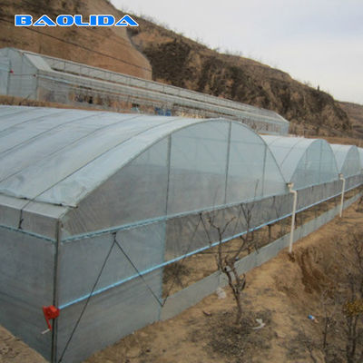 Strato multiplo di verdure del film plastico del tunnel che copre la multi serra della portata