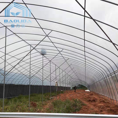 serra di plastica galvanizzata del tunnel commerciale del film della Unico portata del tubo d'acciaio per la crescita delle piante di agricoltura