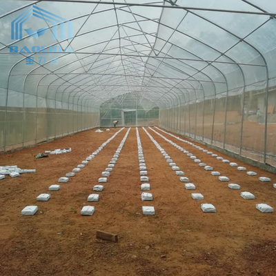 serra di plastica del tunnel delle piante di agricoltura della Unico portata del lato del tunnel rotondo di ventilazione