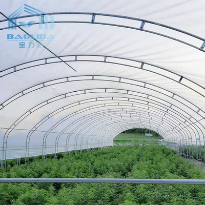 Singola serra della portata di doppia dell'arco ventilazione del lato per la crescita della fragola di agricoltura