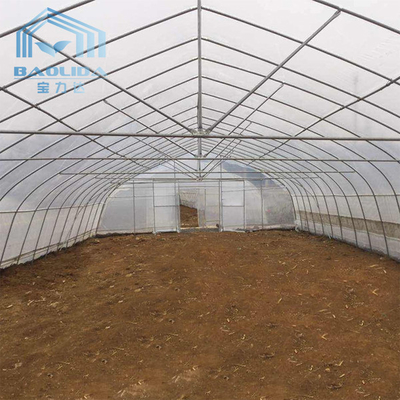Serra di plastica della portata di agricoltura singola con il poli film della struttura di acciaio del tunnel doppio