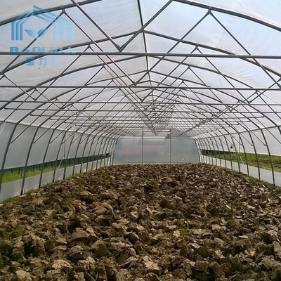 Agricoltura della serra del tunnel di Singlespan con irrigazione ed il sistema crescente idroponico