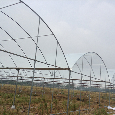 Serra del riparo della pioggia della portata della serra del film plastico multi per Plum Growing