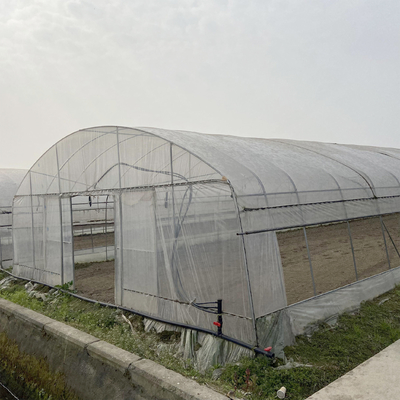Serra galvanizzata struttura di telaio in acciaio tubo PE UV pellicola di plastica vergetable serra mono-span