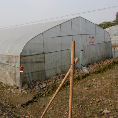 Tunnel sparso di plastica di agricoltura della serra della singola portata tropicale trasparente