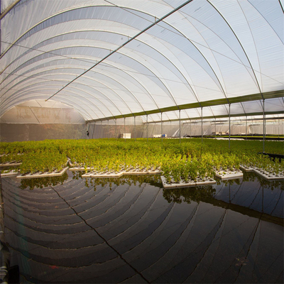 Singola agricoltura della serra della portata del metallo del tunnel idroponico della struttura che coltiva crescita
