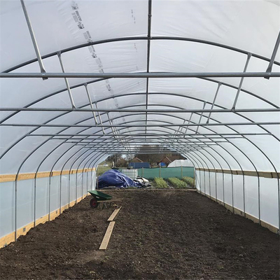 Serra di plastica crescente del tunnel di larghezza della Unico portata 10m di agricoltura del cavolo del film del PE