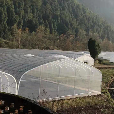 Serra di plastica della portata del tunnel del film del PE di 200 micro singola per la crescita delle piante di agricoltura