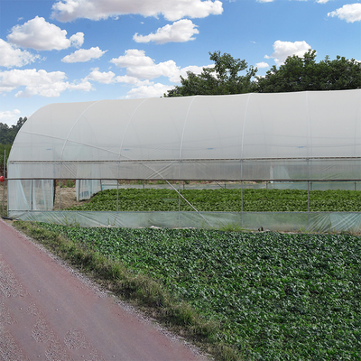 Serra agricola del tunnel sparsa copertura del film plastico 8M Single Span High