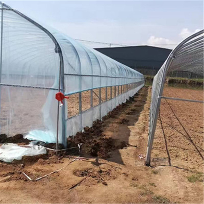 Serra del film plastico del PE con il sistema di raffreddamento per agricoltura