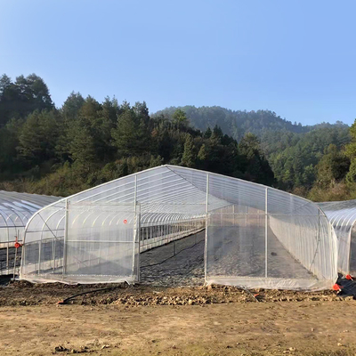 Serra di plastica di tecnologia di grande dimensione poli/singola serra agricola della portata