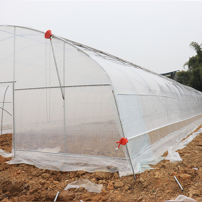 serra di plastica del singolo tunnel verticale della portata di larghezza di 8m 9m per la crescita delle piante